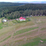 galeria-naszepole-02