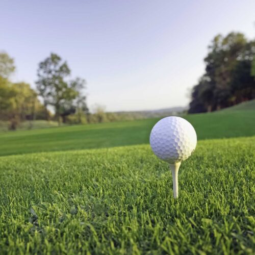 AdobeStock_255421381